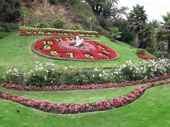 Flower Clock